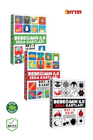 Früherziehungs-Intelligenzkarten-Set meines Babys, 3er-Set, Lernkarten, INTELLIGENCECARD0-24MONTH - 2