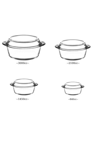 Gedecktes Pyrex-Mitgift-Set 011oa 012oa 013oa 018oa US610600128 - 2