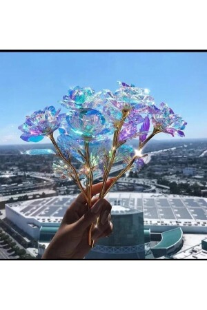 منز-إتيرنيتي وردة هدية وردة - تزيين المنزل - هدية لمحبي - هدية عيد الأمهات - وردة لا تتلاشى - Gelecek