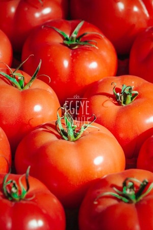 Getrocknete Tomaten der neuen Ernte zum Frühstück Getrocknete Tomaten - 500 Gr. (NATÜRLICH GETROCKNET) ED-196 - 6