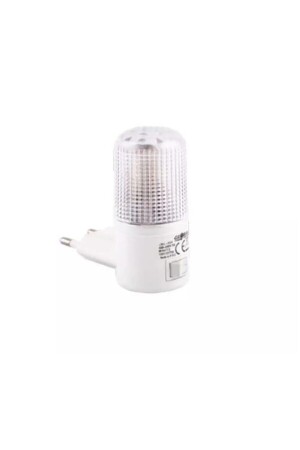 ضوء ليلي من منظمة 