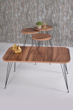 طاولة القهوة و طاولة العشب المكملة للجوز - GOLDFALEZ