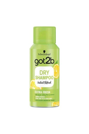 Got2b Trockenshampoo 100 ml - 2