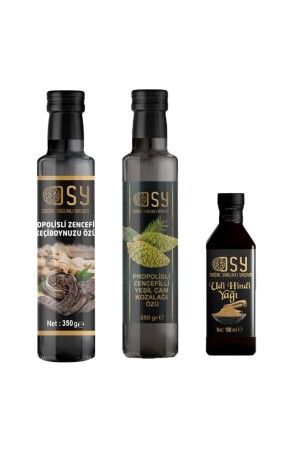 حزمة منازل الشتاء - Doğal Sağlıklı Yaşam