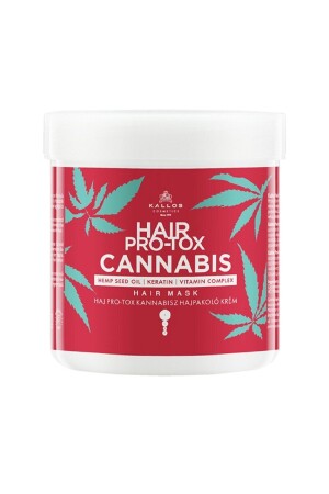 Hair Pro-tox Cannabis-Haarmaske mit Hanfsamenöl, Keratin und Vitaminkomplex, 500 ml - 2