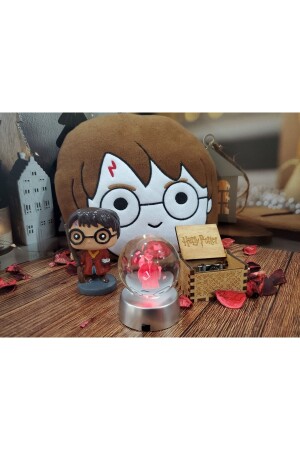 Harry Potter 3d Cam Küre,müzik Kutusu,biblo Ve Peluş Yastık 4'lü Harry Set hry4'lü - 1