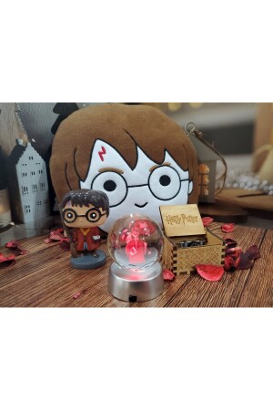 Harry Potter 3d Cam Küre,müzik Kutusu,biblo Ve Peluş Yastık 4'lü Harry Set hry4'lü - 3