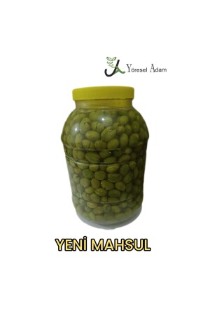 Hatay'dan Organik- Yeni Sezon (2024) Yeşil Kırma Zeytin (5 KG) - 5