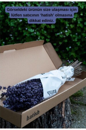 كوكب من الفلفل الطبيعي المقاوم للتجمد - Hatish