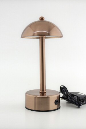 Heli Rose Ev Iş Ofis Kafe Otel Taşınabilir Şarjlı Pilli Led Masaüstü Dokunmatik Çalışma Lambası Heli Hotel Cafe Bar Table Lamp - 4