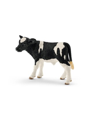 Holstein Buzağı 13798 U271075 - 1