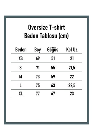 Houston Baskılı Kadın Oversize Saks Mavi Salas T-shirt Boyfriend - 5