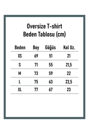 Houston Kadın Oversize Mavi T-shirt - 2