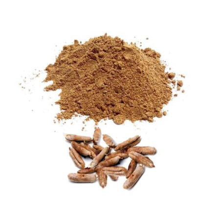 Hurma çekirdeği tozu 100 gram - shifaah