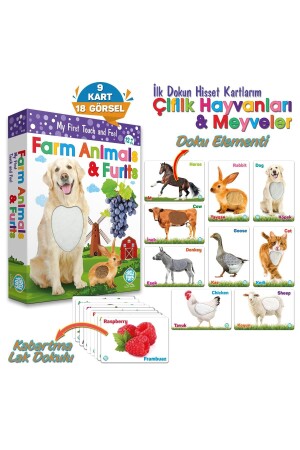 Ilk Dokun Hisset Kartlarım Çiftlik Hayvanları Ve Meyveler (9kart18görsel) Doku Elementli 044 - Circle Toys