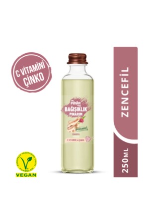 Immunity Spring Getränk mit Ingwergeschmack 250 ml (2 Stück) - Pınar