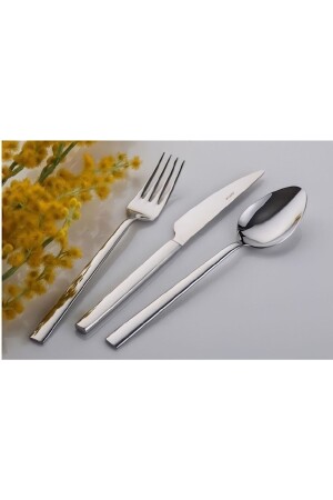 Inter Çelik Nil 72 Parça Kaşık Catal Bıçak Seti EROLTRND6321 - İnter