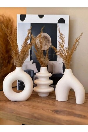 مجموعة من الحوضات القليلة من 3 - Akronistone