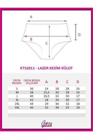 Kadın Yüksek Bel Lazer Kesim Külot 3 lü KTS2011 - 8