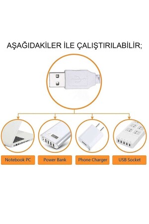 Kaktüs Neon Elektrikli Ve Pilli Dekoratif Led Gece Lambası (usb Kablolu - Pilli) DODEZXD091ny - 5