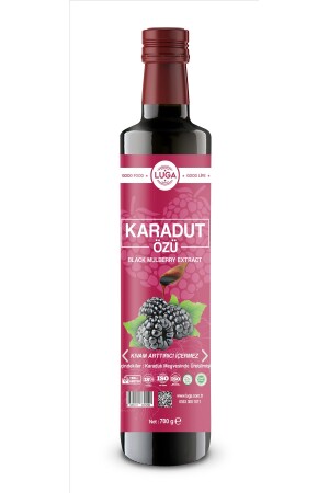 Karadut Özü 700 gr Black Mulberry Extract - 2