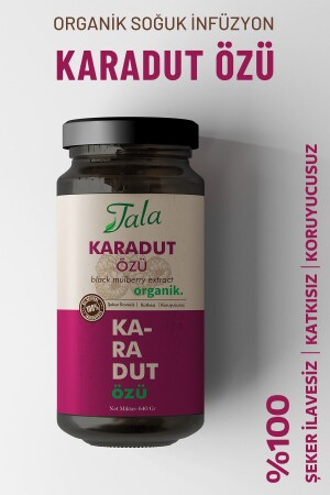 Karadut Özü Organik 640 Gr - 3