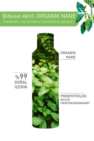 Karma Ve Yağlı Ciltler Için Pure Menthe Prebiyotik Miseler Su-200 ml 96880 - 6