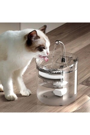 Kedi Köpek Için Sessiz Şeffaf Otomatik Su Pınarı Su Çeşmesi Su Sebili - 1