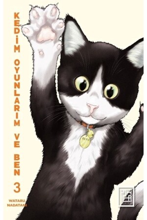 Kedim Oyunlarım Ve Ben 3 - Destek Yayınları