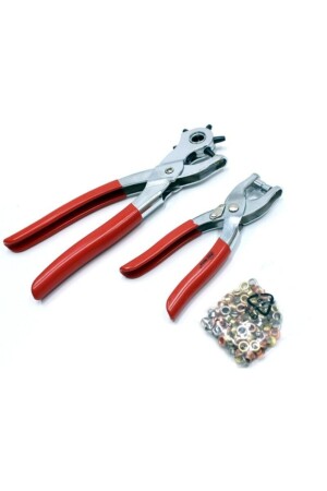 مادة منخفضة منخفضة منخفضة منخفضة منخفضة منخفضة منخفضة منخفضة منخفضة منخفضة منخفضة من - rennway