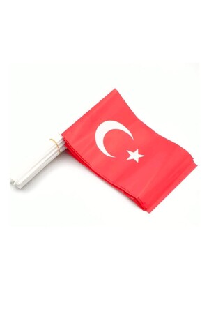 Kleine Größe, 10 Stück, Papierstab, türkische Flagge, Lattenstabgriff, Halbmondstern, bedruckte Flagge, 25 x 20 cm - 3