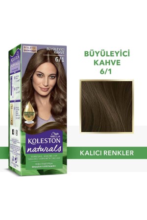 Koleston Naturals Saç Boyası 6-1 Büyüleyici Kahve - Wella