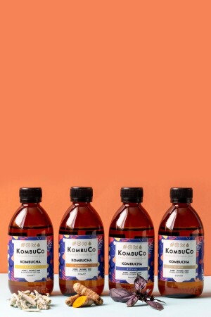 Kombucha Karışık Tanışma Paketi - 250ml - 1