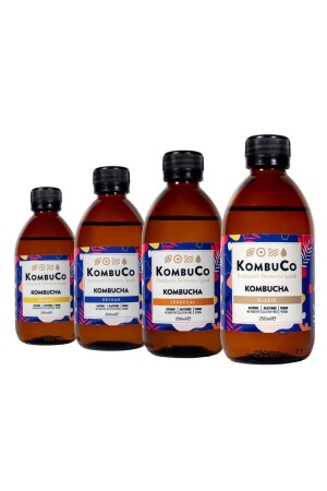 Kombucha Karışık Tanışma Paketi - 250ml - 5