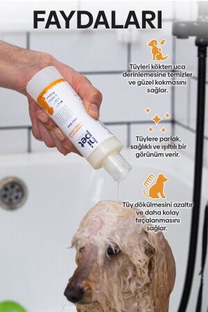 Konditionierendes Shampoo für Hunde - 3