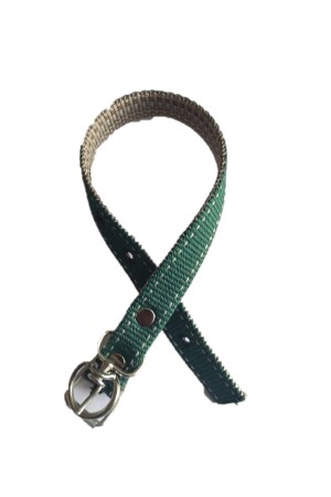 Köpek Tasması Mini - Ramazan Çelik