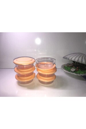 Kristallinrosa sechsteilige Schüssel mit Deckel SM100000123 - Tupperware