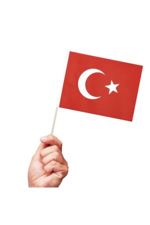 Küçük Boy 10 Adet Çubuklu Kağıt Türk Bayrağı Çıtalı Sopalı Saplı Ay Yıldız Baskılı Bayrak 25x20 Cm - 1