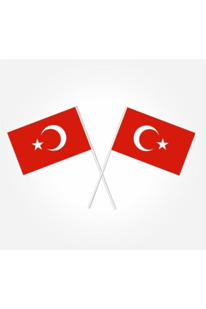 Küçük Boy 10 Adet Çubuklu Kağıt Türk Bayrağı Çıtalı Sopalı Saplı Ay Yıldız Baskılı Bayrak 25x20 Cm - 4