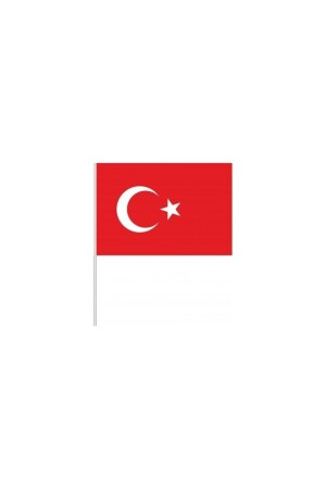 Küçük Boy 10 Adet Çubuklu Kağıt Türk Bayrağı Çıtalı Sopalı Saplı Ay Yıldız Baskılı Bayrak 25x20 Cm - 6