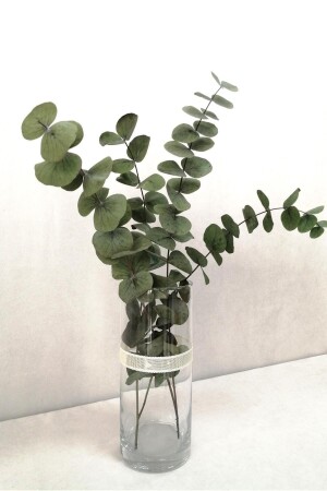 (منز) - (مصدومة (بنج غرين) (أوكاليبتوس) - Kuru Çiçek Deposu