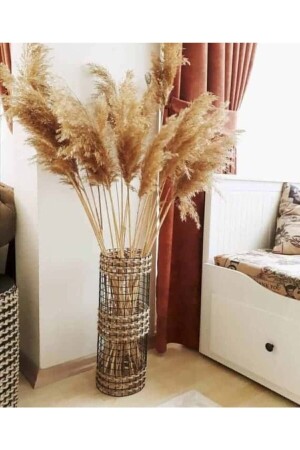 Kuru Çiçek Pampas 20 Adet 100 cm M-100 - 2