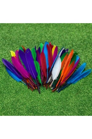 Kuş Tüyü Renkli 100 Adet - Bidoluhobi