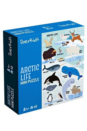 Kuzey Kutbu Hayvanları Mini Puzzle 40 Parça 4 Yaş - 1