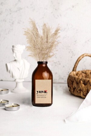 وعاء زجاجي من النجم من النجم من النجم من النجم من النجم من النجم من النجم من النجم من النجم من النجم من النجم من النجم من النجم من النجم - Lalezen Home