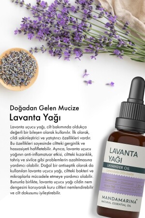 Lavanta Yağı 20 ml - 4