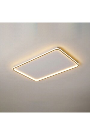 قناة منقذية ذات رصاص منقذية قاعدة Tra54113 60*40cm طلاء: الأنثراكيت - ضوء: 4000k أبيض طبيعي TR2P24A - TRİOLUX