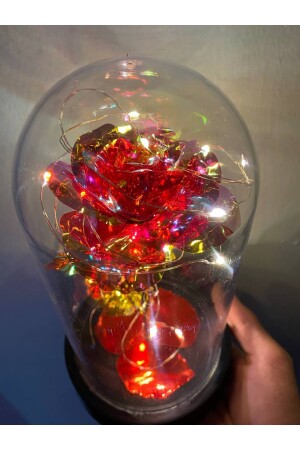 LED-beleuchtetes Infinity-Rosenglas, Geschenk, Rosen-Terrarium 12214522 - 1