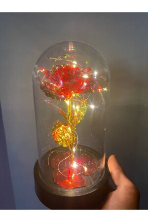 LED-beleuchtetes Infinity-Rosenglas, Geschenk, Rosen-Terrarium 12214522 - 2