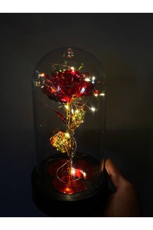 LED-beleuchtetes Infinity-Rosenglas, Geschenk, Rosen-Terrarium 12214522 - 3